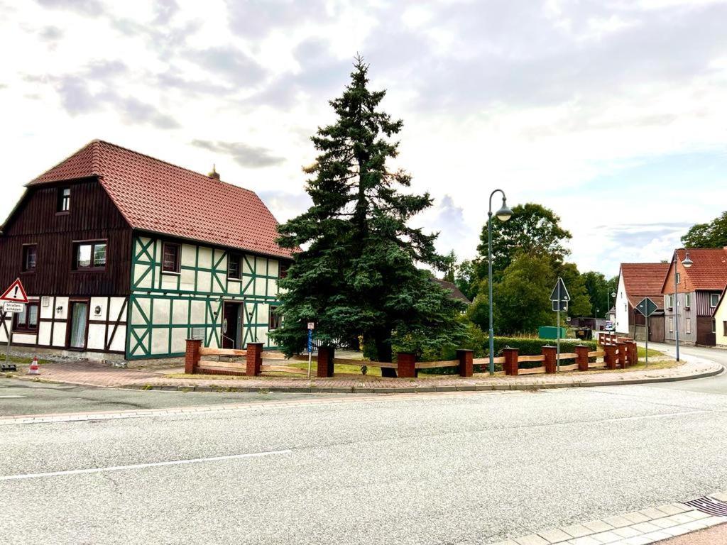 Ferienwohnung Waldblick Stiege ภายนอก รูปภาพ